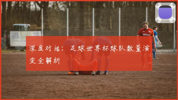 深度对话：足球世界杯球队数量演变全解析